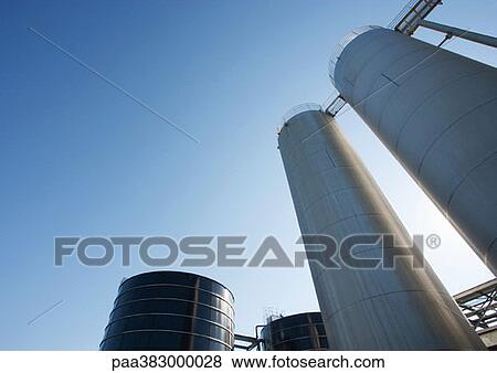 Paper plant View Large Photo Image Stock Photo - Paper plant. Fotosearch
