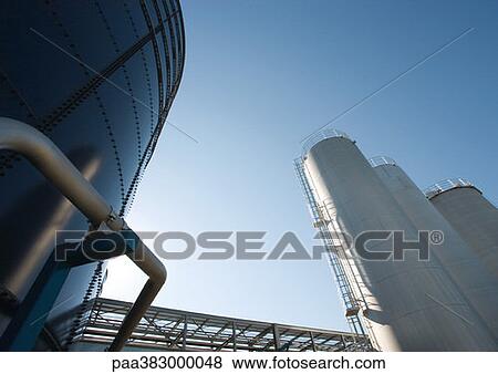 Paper plant View Large Photo Image Stock Photo - Paper plant. Fotosearch