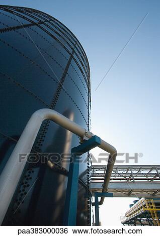 Stock Photograph - Paper plant. Fotosearch