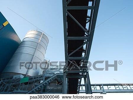 Stock Photograph - Paper plant. Fotosearch