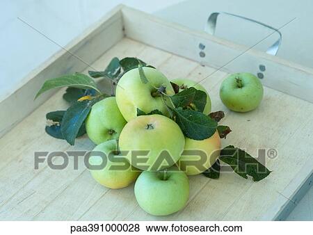 Apples with leaves, on tray View Large Photo Image Stock Photo - Apples with leaves, on tray. Fotosearch