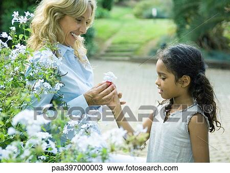 Mature woman handing granddaughter flower View Large Photo Image Stock Image - Mature woman handing granddaughter flower. Fotosearch
