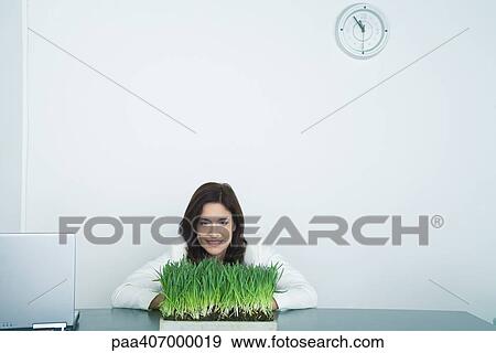 Businesswoman looking at tray of wheat grass View Large Photo Image Stock Photo - Businesswoman looking at tray of wheat grass. Fotosearch