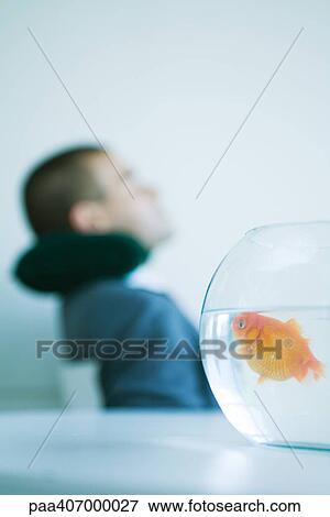 Goldfish in fishbowl, businessman resting in background View Large Photo Image Stock Photo - Goldfish in fishbowl, businessman resting in background. Fotosearch