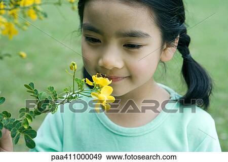 Girl smelling flower, close-up View Large Photo Image Stock Photo - Girl smelling flower, close-up. Fotosearch