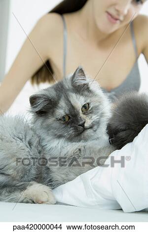 Picture - Woman sitting on bed with cat, focus on cat in foreground. Fotosearch