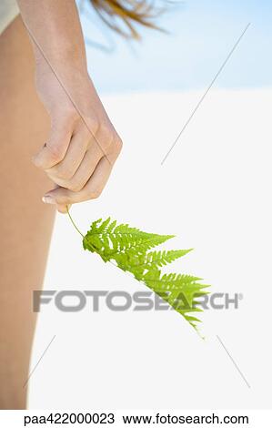 Stock Image - Woman holding fern frond in hand, on beach, close-up. Fotosearch