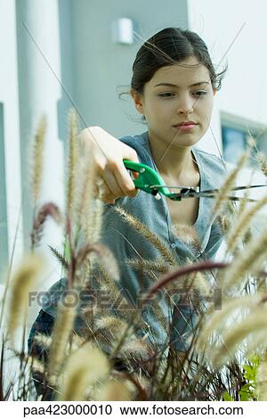 Stock Image - Young woman pruning bush. Fotosearch