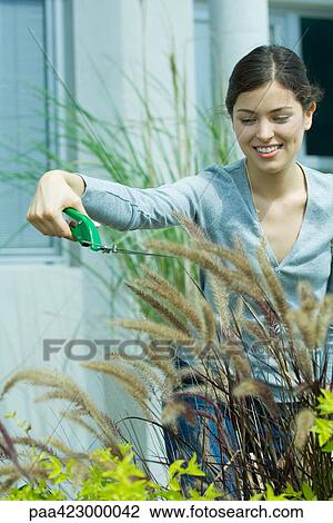 Young woman pruning outdoor plants View Large Photo Image Stock Image - Young woman pruning outdoor plants. Fotosearch