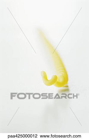 Stock Image - Fusilli bucati lunghi pasta. Fotosearch