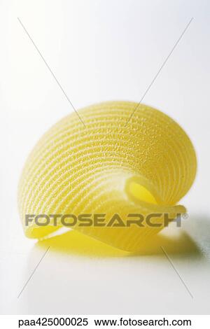 Lumaconi pasta View Large Photo Image Stock Photography - Lumaconi pasta. Fotosearch