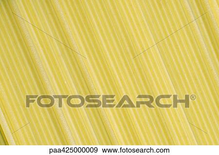 Pasta, full frame View Large Photo Image Stock Photo - Pasta, full frame. Fotosearch
