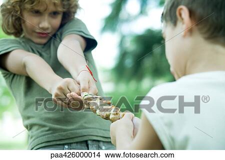 Picture - Two boys playing tug-of-war with grilled kebab. Fotosearch