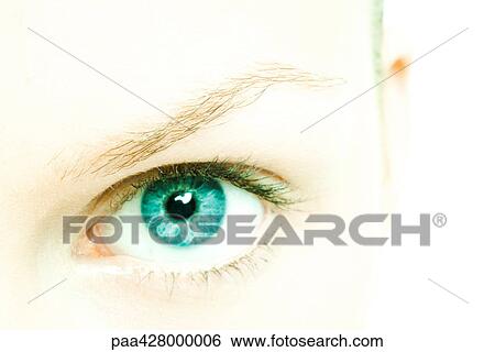 Female eye, extreme close-up View Large Photo Image Stock Photograph - Female eye, extreme close-up. Fotosearch