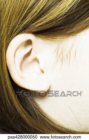 Teenage girl's ear, extreme close-up View Large Photo Image Stock Image - Teenage girl's ear, extreme close-up. Fotosearch