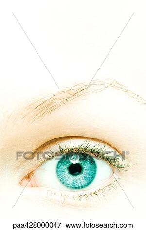 Stock Photo - Woman's eye, extreme close-up. Fotosearch