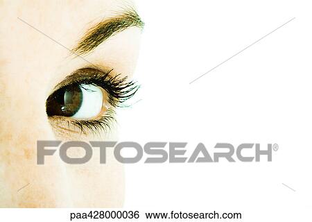 Woman's eye, extreme close-up View Large Photo Image Stock Photograph - Woman's eye, extreme close-up. Fotosearch