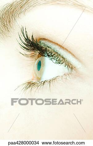 Woman's eye, side view, extreme close-up View Large Photo Image Picture - Woman's eye, side view, extreme close-up. Fotosearch