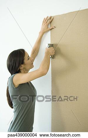 Woman stapling sheet of cardboard to wall View Large Photo Image Picture - Woman stapling sheet of cardboard to wall. Fotosearch