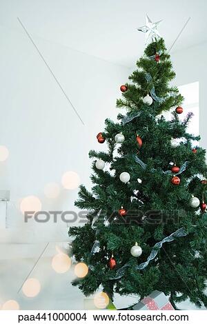 Picture - Christmas tree. Fotosearch
