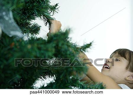 Girl touching branch of Christmas tree View Large Photo Image Stock Photo - Girl touching branch of Christmas tree. Fotosearch
