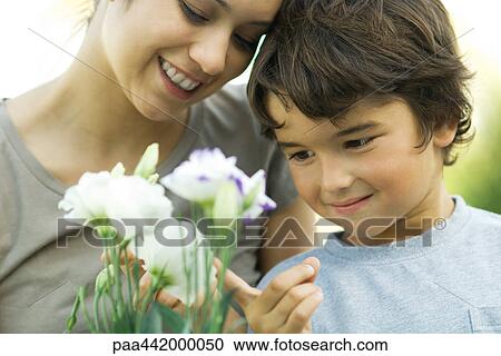 Mother and son looking at flowers together View Large Photo Image Stock Image - Mother and son looking at flowers together. Fotosearch