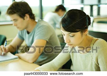 College students studying at tables in library View Large Photo Image Stock Image - College students studying at tables in library. Fotosearch