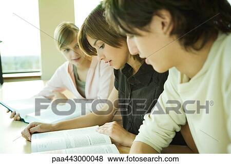 College students studying together View Large Photo Image Stock Photo - College students studying together. Fotosearch