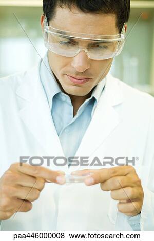 Male scientist holding Petri dish View Large Photo Image Stock Photo - Male scientist holding Petri dish. Fotosearch