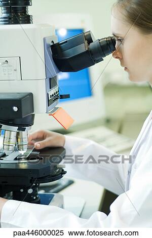 Young female researcher placing slide under microscope View Large Photo Image Stock Photography - Young female researcher placing slide under microscope. Fotosearch