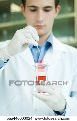 Young male lab worker dipping slide into liquid in beaker View Large Photo Image Picture - Young male lab worker dipping slide into liquid in beaker. Fotosearch
