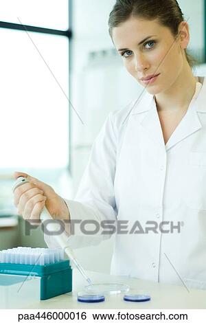 Young woman working in scientific laboratory, holding dropper over Petri dish, looking at camera View Large Photo Image Stock Photograph - Young woman working in scientific laboratory, holding dropper over Petri dish, looking at camera. Fotosearch