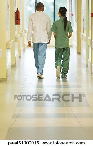 Hospital staff walking side by side, rear view, full length View Large Photo Image Stock Photography - Hospital staff walking side by side, rear view, full length. Fotosearch
