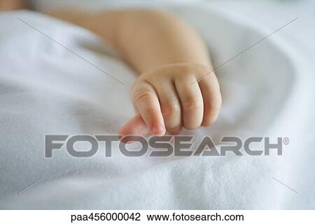 Baby, cropped view of hand View Large Photo Image Stock Image - Baby, cropped view of hand. Fotosearch