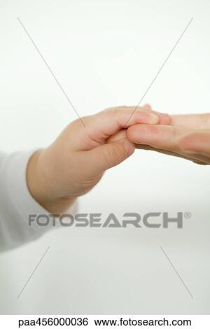 Stock Photograph - Baby holding adult's fingers, cropped view. Fotosearch