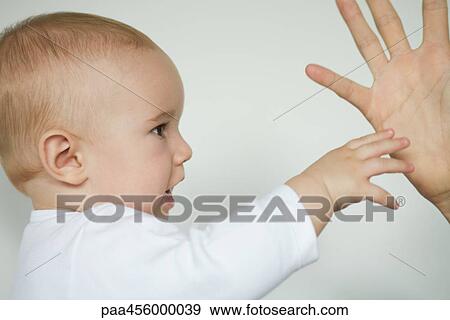 Baby reaching for adult's hand, cropped view View Large Photo Image Stock Photo - Baby reaching for adult's hand, cropped view. Fotosearch
