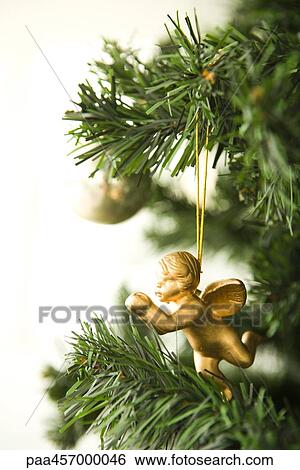 Angel Christmas ornament hanging from Christmas tree, cropped view View Large Photo Image Stock Photograph - Angel Christmas ornament hanging from Christmas tree, cropped view. Fotosearch