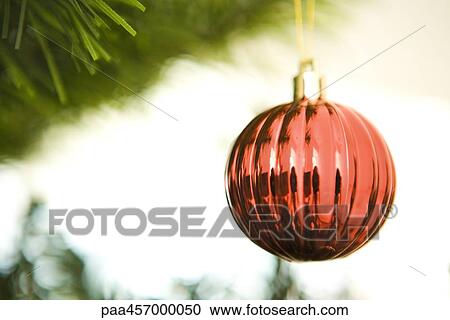 Christmas ornament hanging from Christmas tree, cropped view View Large Photo Image Stock Image - Christmas ornament hanging from Christmas tree, cropped view. Fotosearch