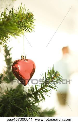 Heart shaped Christmas ornament hanging on Christmas tree, cropped view View Large Photo Image Stock Image - Heart shaped Christmas ornament hanging on Christmas tree, cropped view. Fotosearch