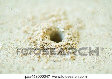 Hole in fiberboard, sawdust, close-up, high angle view View Large Photo Image Stock Photo - Hole in fiberboard, sawdust, close-up, high angle view. Fotosearch