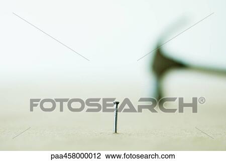 Nail, standing, hammer in background View Large Photo Image Stock Image - Nail, standing, hammer in background. Fotosearch