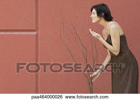 Brunette woman touching and smelling bare sapling, red wall in background, side view, three quarter length View Large Photo Image Stock Photograph - Brunette woman touching and smelling bare sapling, red wall in background, side view, three quarter length. Fotosearch