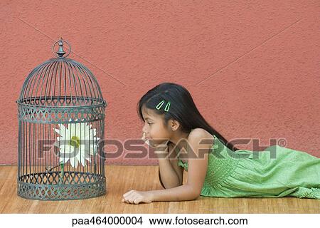 Girl lying on floor, looking at flower in birdcage, side view View Large Photo Image Picture - Girl lying on floor, looking at flower in birdcage, side view. Fotosearch