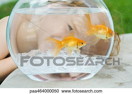 Little girl peeking through goldfish bowl, close-up View Large Photo Image Stock Image - Little girl peeking through goldfish bowl, close-up. Fotosearch