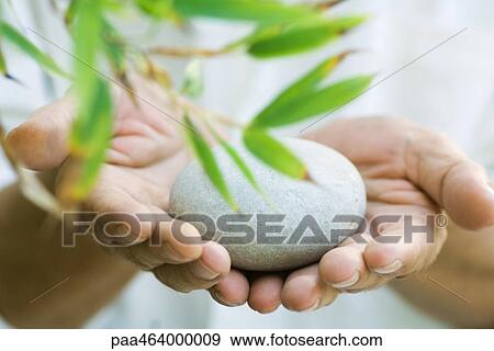 Pebble in cupped hands, leaves in blurred foreground, close-up View Large Photo Image Stock Photo - Pebble in cupped hands, leaves in blurred foreground, close-up. Fotosearch