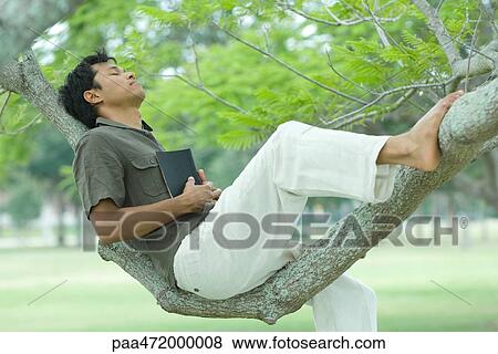 Man resting on tree branch with eyes closed, holding book View Large Photo Image Stock Photo - Man resting on tree branch with eyes closed, holding book. Fotosearch