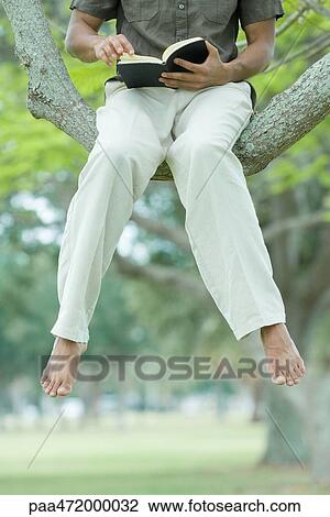 Man sitting in tree reading book with legs dangling, cropped view View Large Photo Image Stock Image - Man sitting in tree reading book with legs dangling, cropped view. Fotosearch
