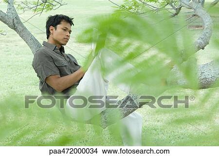 Man sitting on tree branch reading book, viewed through foliage View Large Photo Image Picture - Man sitting on tree branch reading book, viewed through foliage. Fotosearch