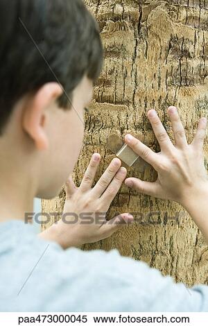 Boy putting adhesive bandage on tree trunk, cropped rear view View Large Photo Image Stock Photography - Boy putting adhesive bandage on tree trunk, cropped rear view. Fotosearch