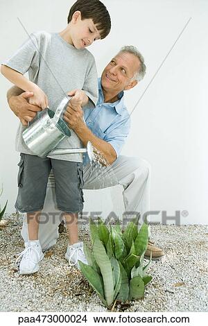 Boy watering outdoor plant with grandfather, both smiling View Large Photo Image Picture - Boy watering outdoor plant with grandfather, both smiling. Fotosearch